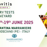 enovitis-2025