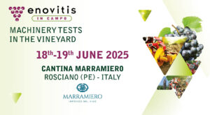 enovitis-2025