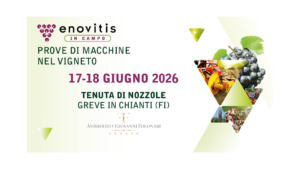 ENOVITIS IN CAMPO - GREVE IN CHIANTI